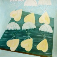 s.licht hart in formatie2